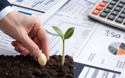 Studio Sabatino Pizzano 3 Detrazione IVA sulle attività preparatorie all’avvio dell’attività di impresa